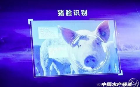 马云、刘强东等大佬扎堆进军养猪业，养猪业大变天！
