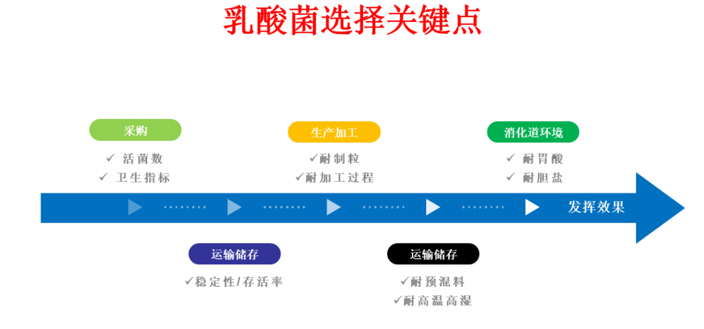 益生菌、抗菌肽、植物甾醇，这场论坛带来更多替抗思路