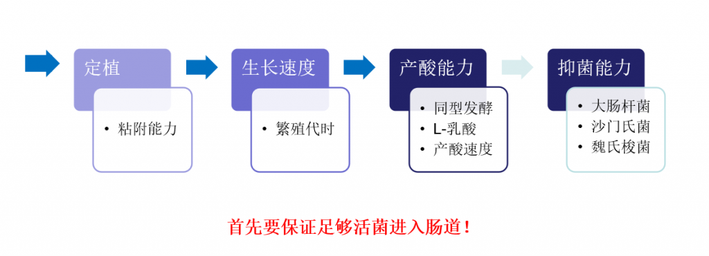 益生菌、抗菌肽、植物甾醇，这场论坛带来更多替抗思路