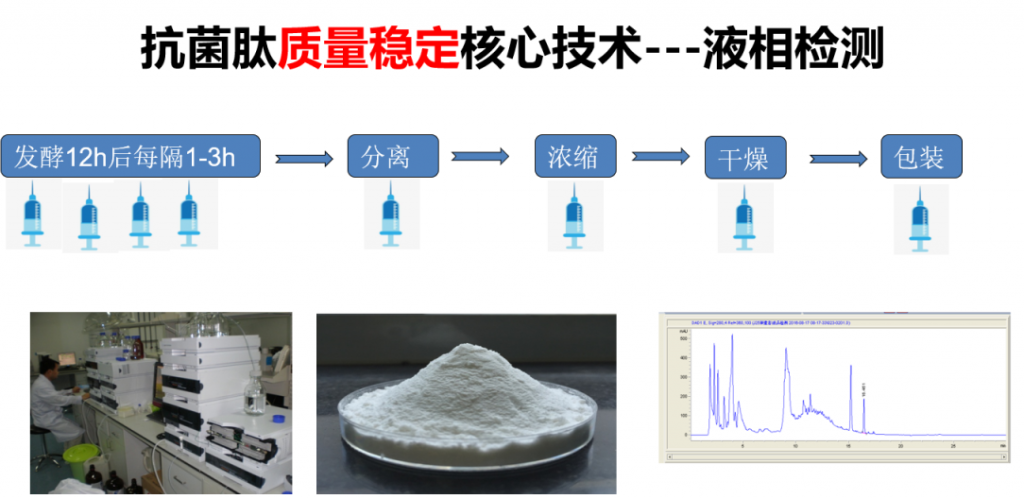 益生菌、抗菌肽、植物甾醇，这场论坛带来更多替抗思路