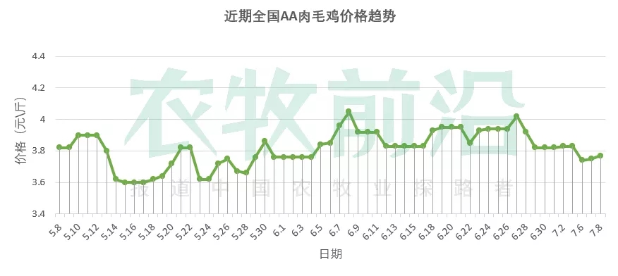 猪价上天！这次能像去年一样带来鸡价红利吗？丨鸡价周报