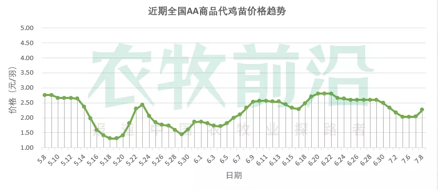 猪价上天！这次能像去年一样带来鸡价红利吗？丨鸡价周报