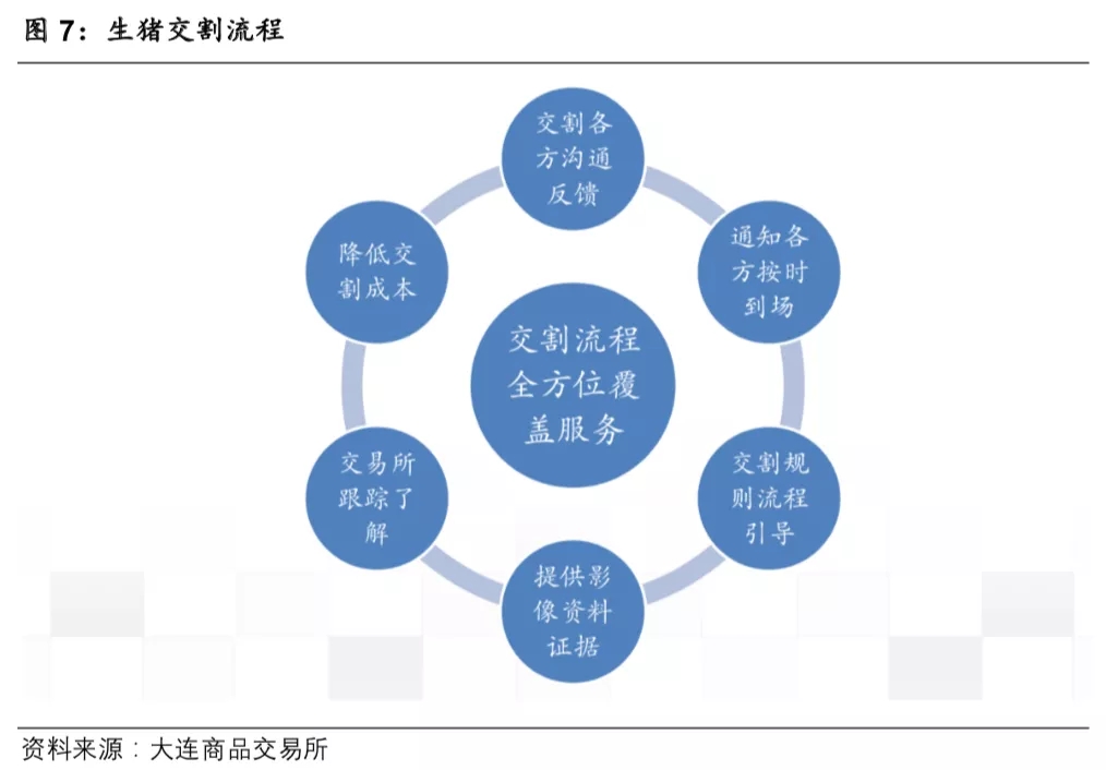 重磅！大商所将于7月10日开展生猪期货仿真交易！详解交易合约