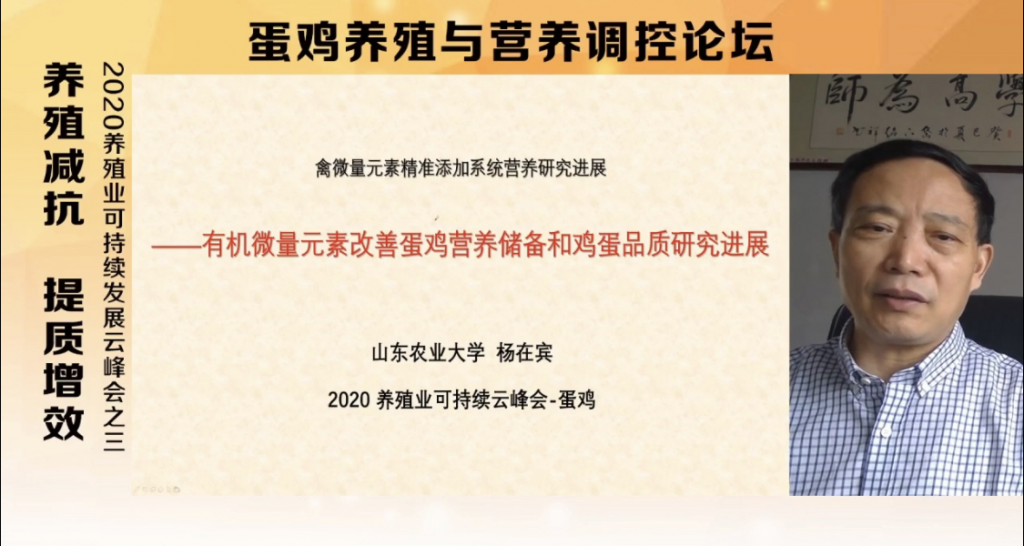 蛋鸡养殖的突围、突破和创新