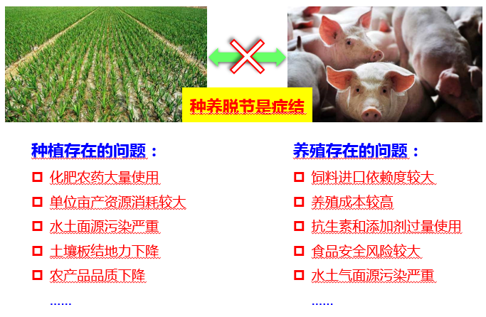 印遇龙院士：养殖业是美丽中国和乡村振兴战略中不容忽视部分！