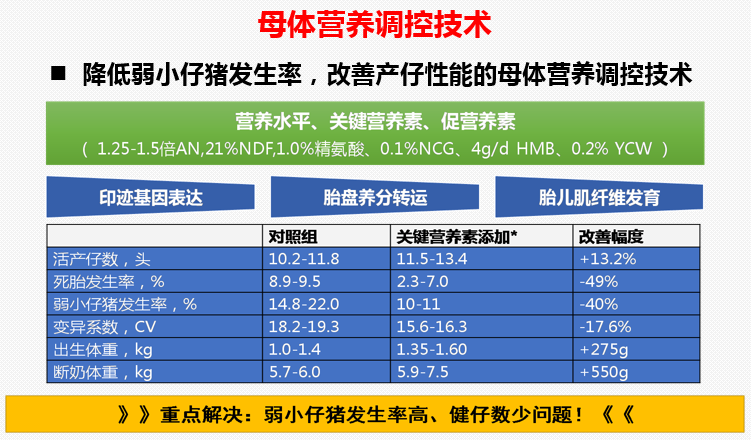 车炼强教授：出生体重、产程、初乳摄入量三大因素影响仔猪死亡率！！