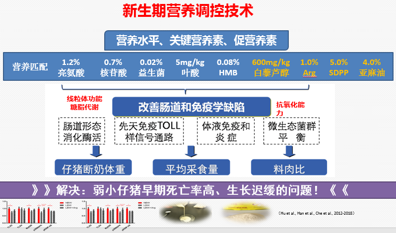 车炼强教授：出生体重、产程、初乳摄入量三大因素影响仔猪死亡率！！