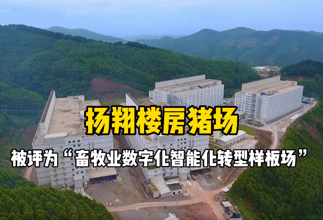 赞！扬翔智能化楼房猪场获评“畜牧业数字化智能化转型样板场”