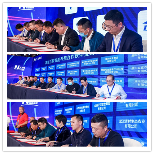 签约1.6亿元！农信互联开启数智化养猪新时代！