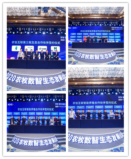 签约1.6亿元！农信互联开启数智化养猪新时代！