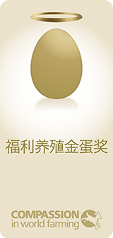 开始报名丨2021年福利养殖金鸡奖、金蛋奖