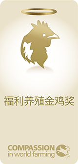 开始报名丨2021年福利养殖金鸡奖、金蛋奖