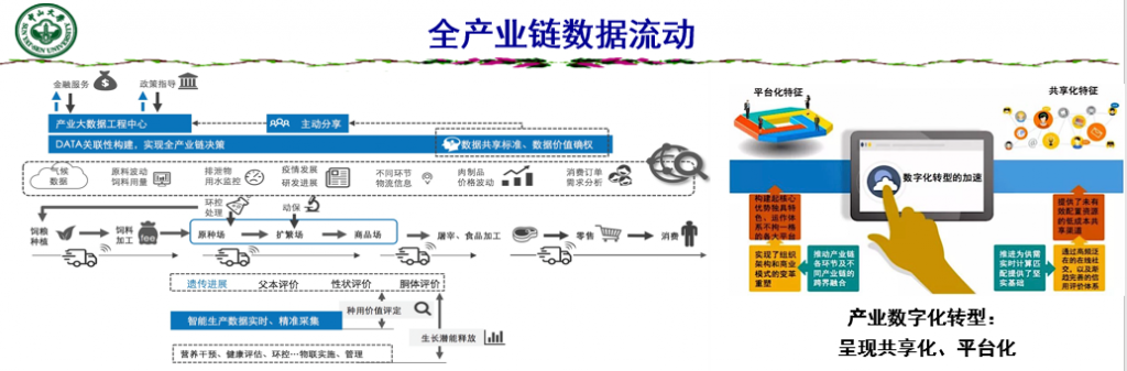 首席科学家陈瑶生:生猪产业伟大变革的序幕已经悄然拉开！