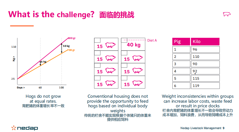 睿保乐张列：关注育肥猪增重管理非常重要！