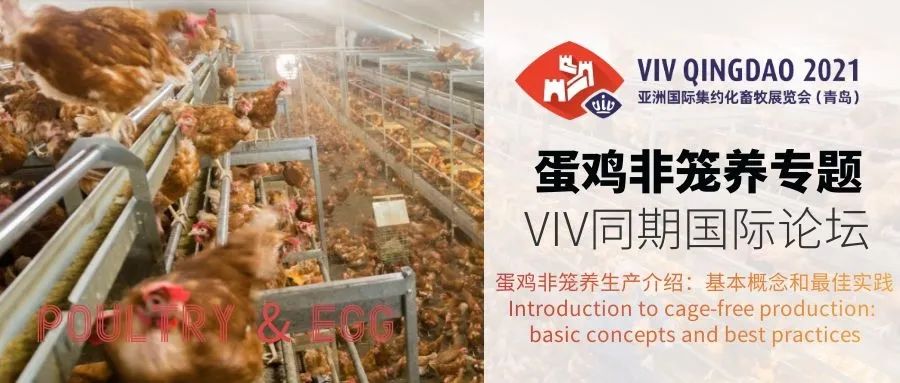 重要发布丨VIV青岛展2021参与企业名单及国际性商贸交流活动日程（第一轮）