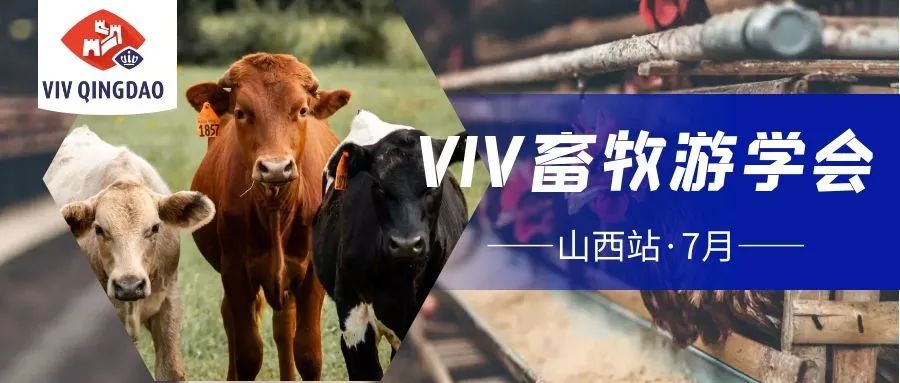 重要发布丨VIV青岛展2021参与企业名单及国际性商贸交流活动日程（第一轮）