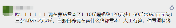 破局！？15000头规模养猪企业受胎率和健仔数双提升