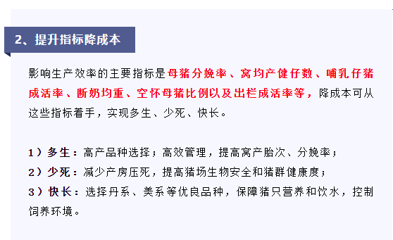 超详细！扬翔养猪事业部总裁分享猪场低成本生产的策略和路径