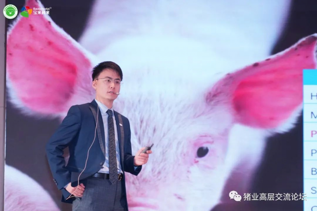 重磅 | 2021第七届中国猪业高峰论坛通稿报道