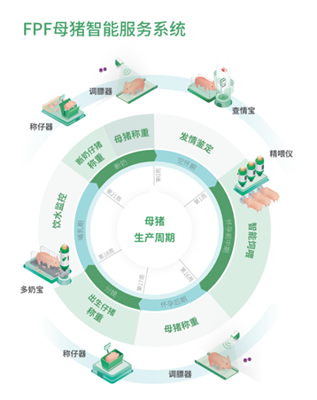 杨士葶：90后董事长的“科技助农”之路