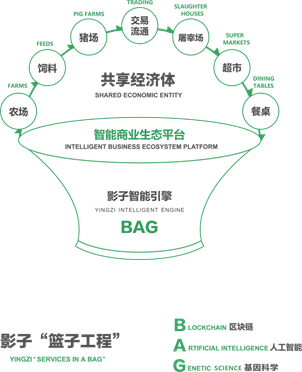 杨士葶：90后董事长的“科技助农”之路