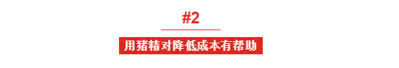 均健仔数11头、分娩率88%！1400头规模猪场再发力
