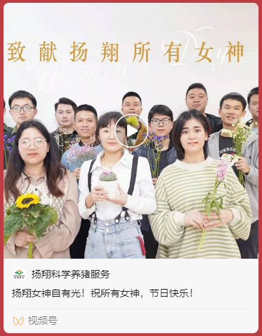 官宣：继拥有新名字后，我们又要推出新栏目啦！