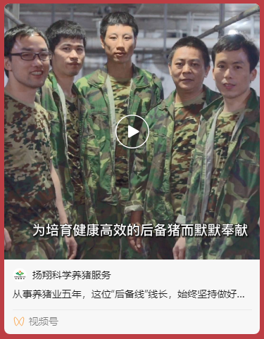 官宣：继拥有新名字后，我们又要推出新栏目啦！