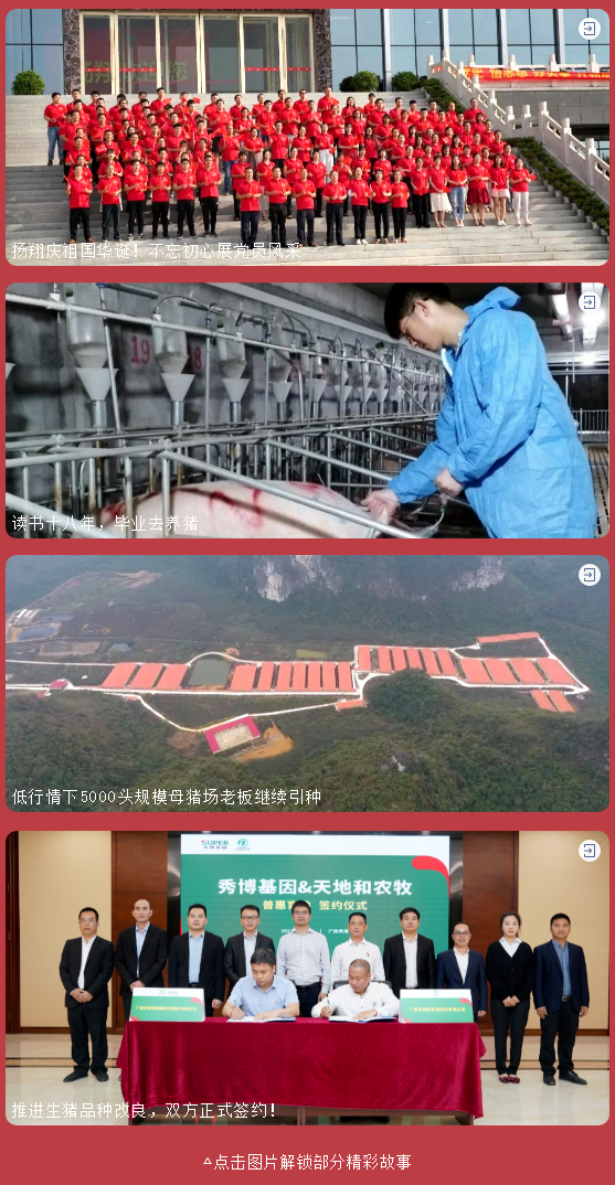 官宣：继拥有新名字后，我们又要推出新栏目啦！