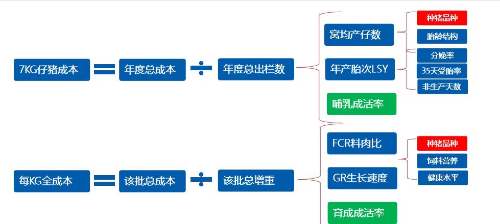 完全成本13.19元/Kg，降本增效史记育种以种破局