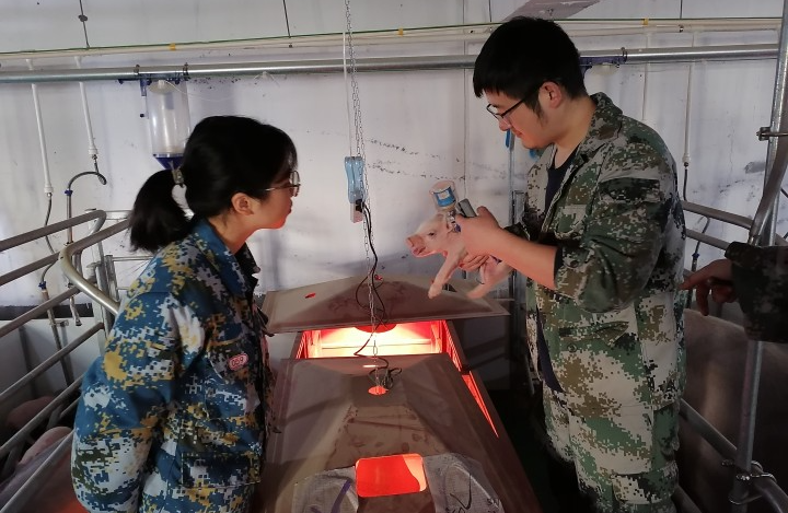利润“大缩水”，他们是怎么一点点逆袭的？