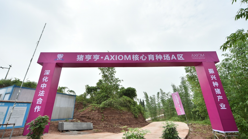 又一大型国际种猪核心育种场落地中国，这次有何不同？