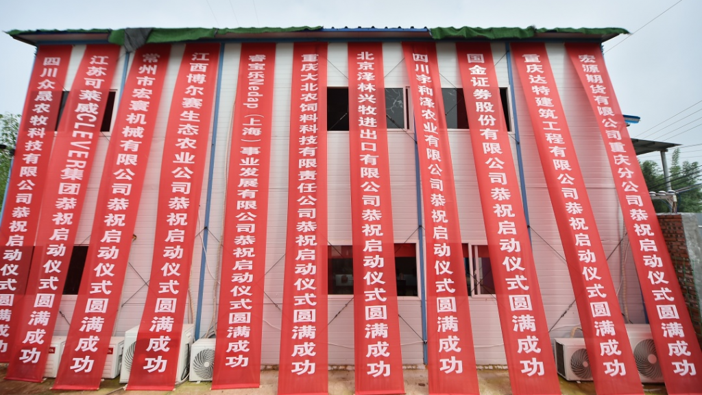 又一大型国际种猪核心育种场落地中国，这次有何不同？