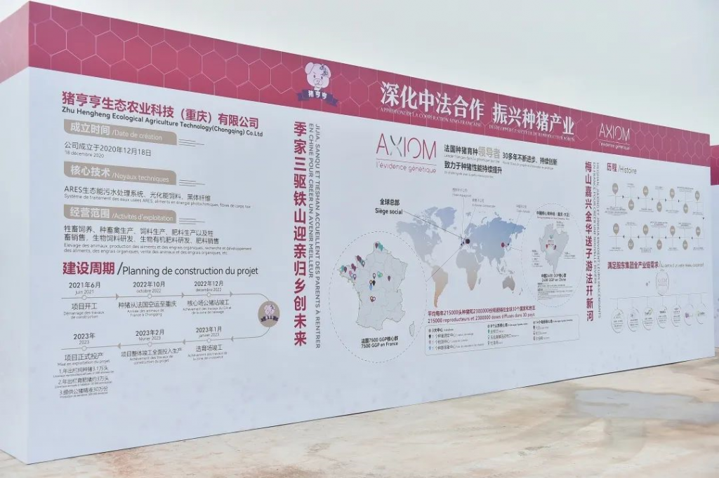 又一大型国际种猪核心育种场落地中国，这次有何不同？