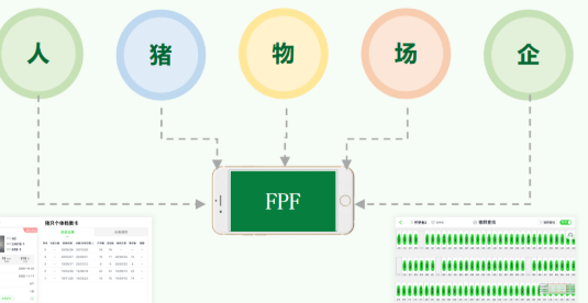 当养猪人也开始享受“偷懒”带来的红利