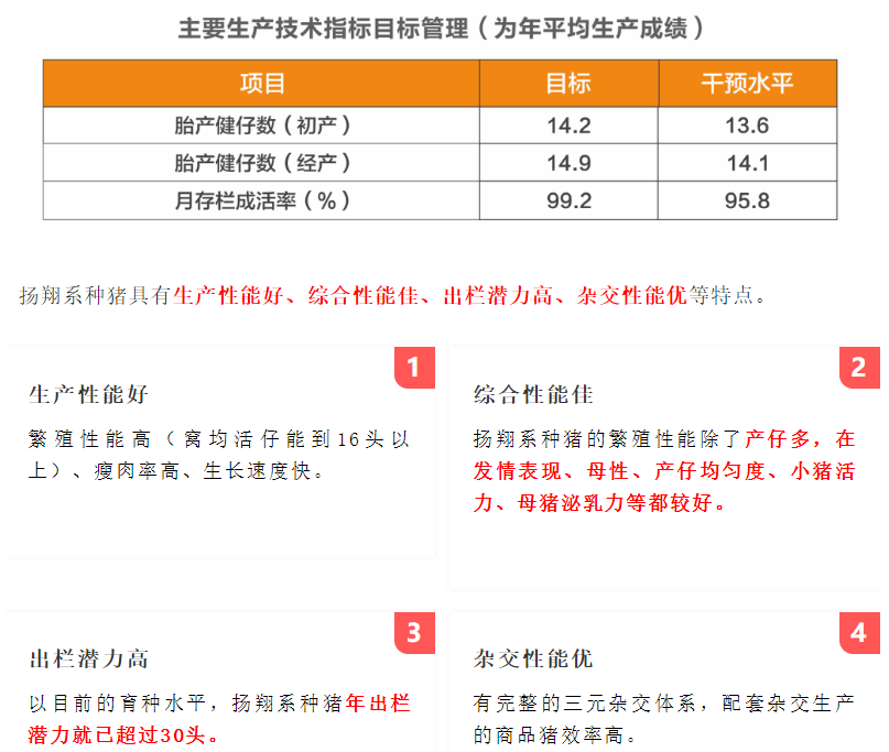 赞！扬翔种猪窝均总仔数超越全国前10%核心种猪场平均水平