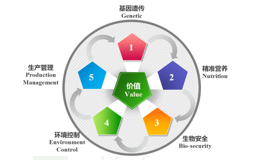 可额外增收超1000元！扬翔育种总监分享提质增效两大“利器”