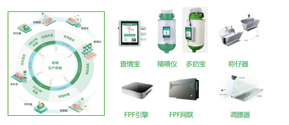 揭秘！扬翔提升4000多万生猪生产效率的黑科技