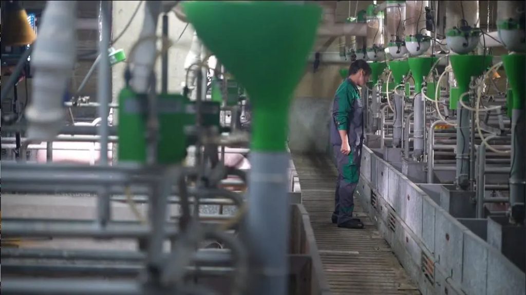 农业农村部公布饲料豆粕减量替代典型，扬翔股份上榜！