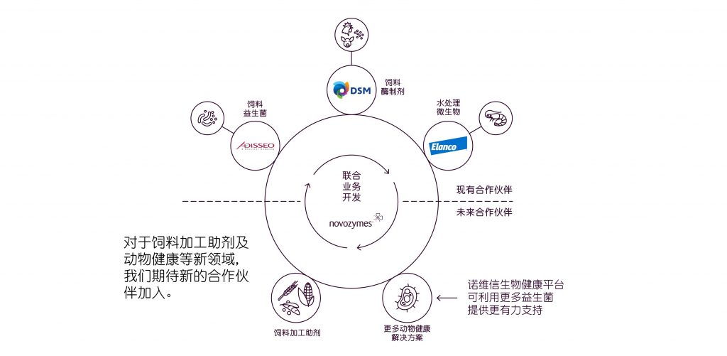 诺维信——做全球畜禽养殖前沿的合作伙伴