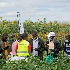 欢迎您到非洲来——德国农业协会（DLG）非洲系列展报名启动