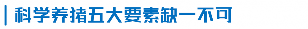 楼房养猪第6年，扬翔智能楼房猪场有哪些变化？