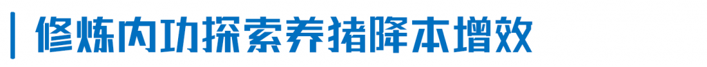 楼房养猪第6年，扬翔智能楼房猪场有哪些变化？