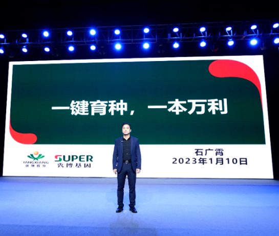 叮！请查收扬翔股份2023年上半年答卷