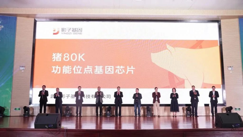 叮！请查收扬翔股份2023年上半年答卷