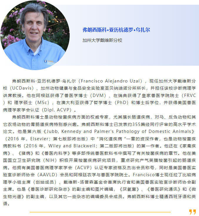 025当“夏”之约|第六届国际兽医检测诊断大会暨亚洲兽医器械及药品展览会与您相约南京，不见不散！"
