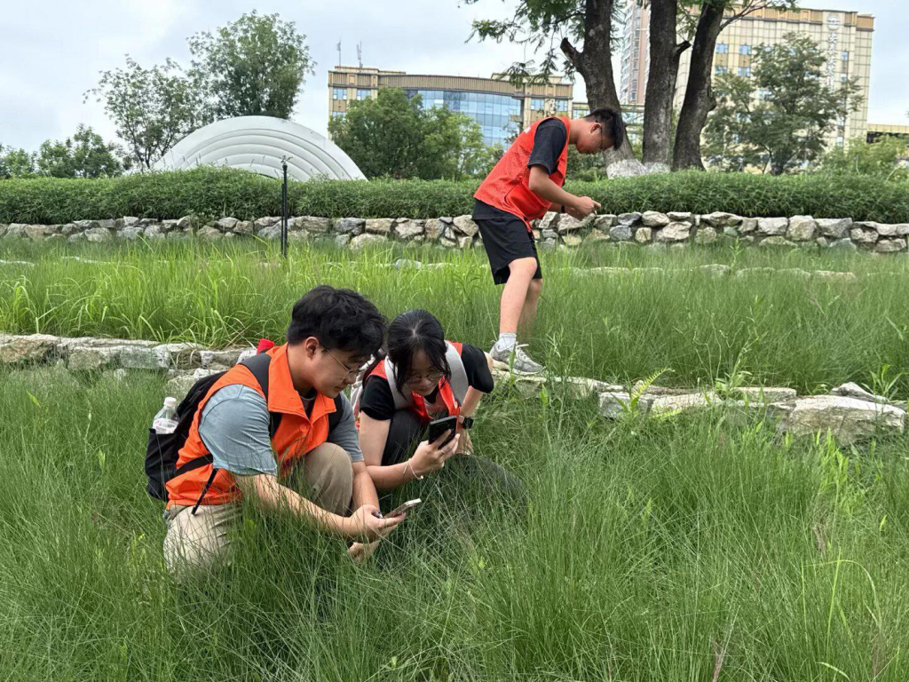 筑牢生态安全屏障 青春践行强国使命 ——成都农业科技职业学院创新开展外来入侵物种防治专项行动